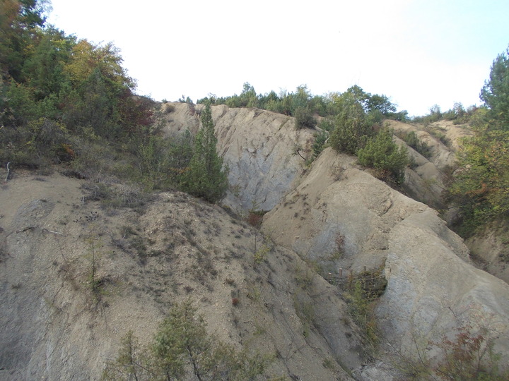 Erozija